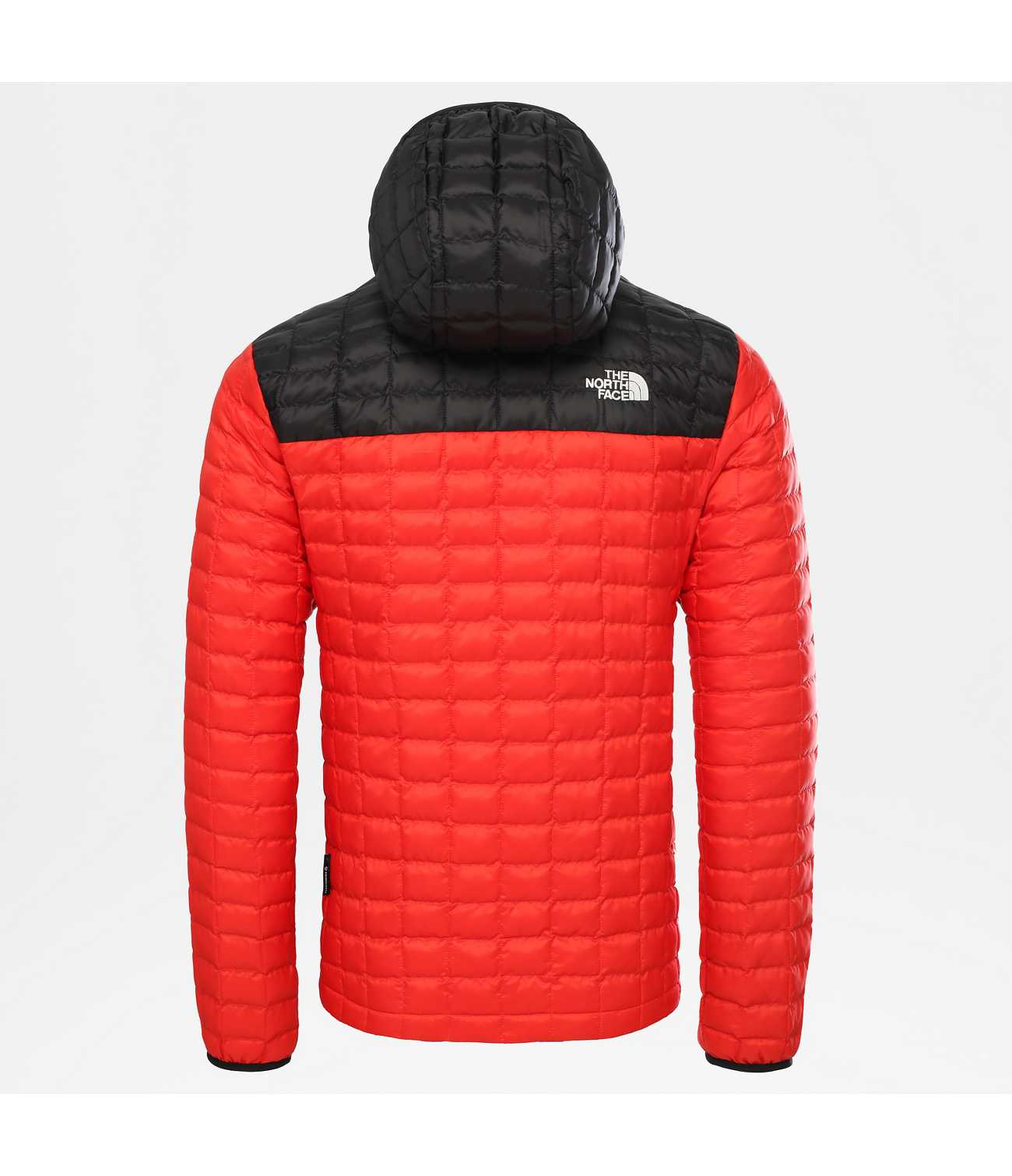 Men s Thermoball Eco Light Hooded Jacket The North Face The North Face Renewed