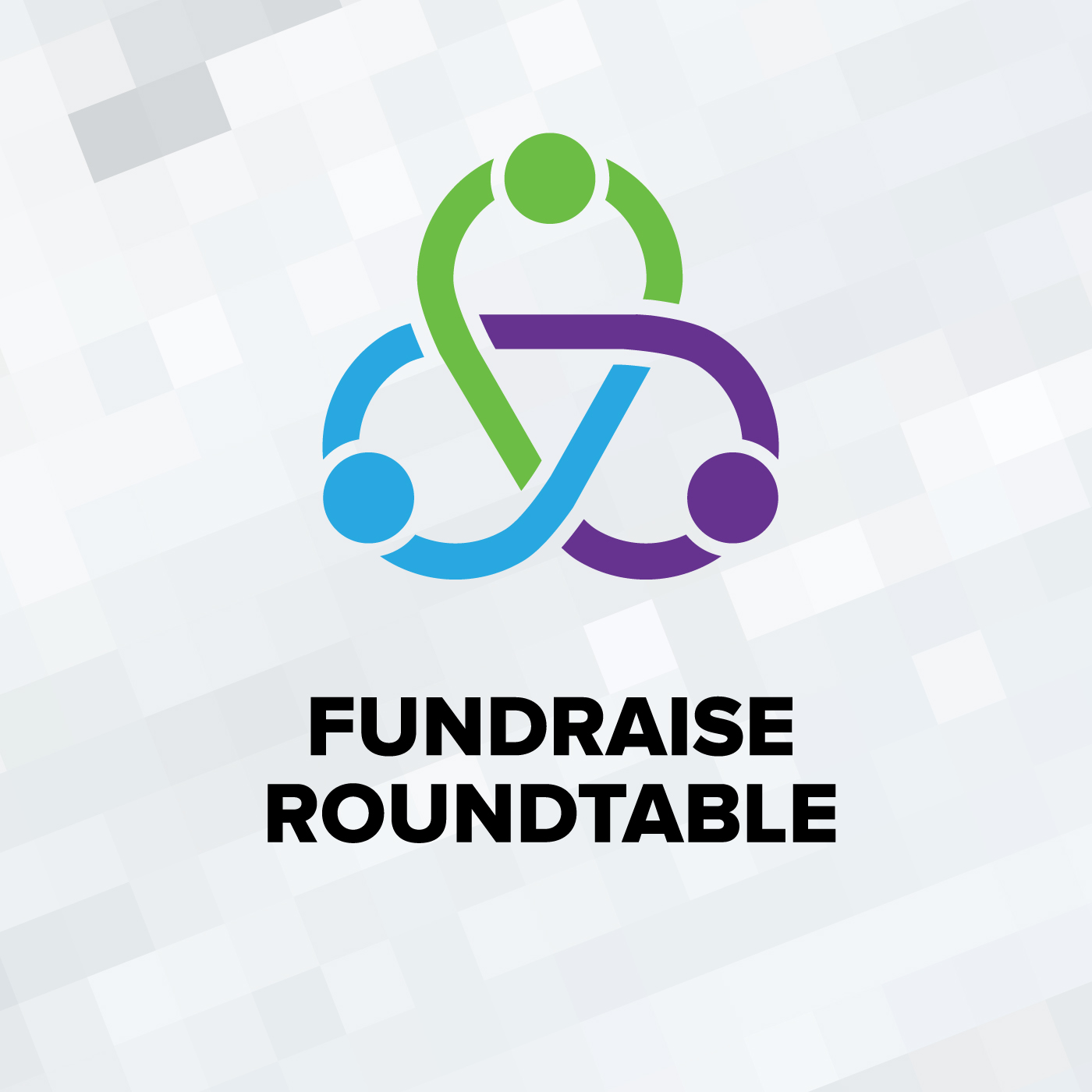 Fundraise Roundtable