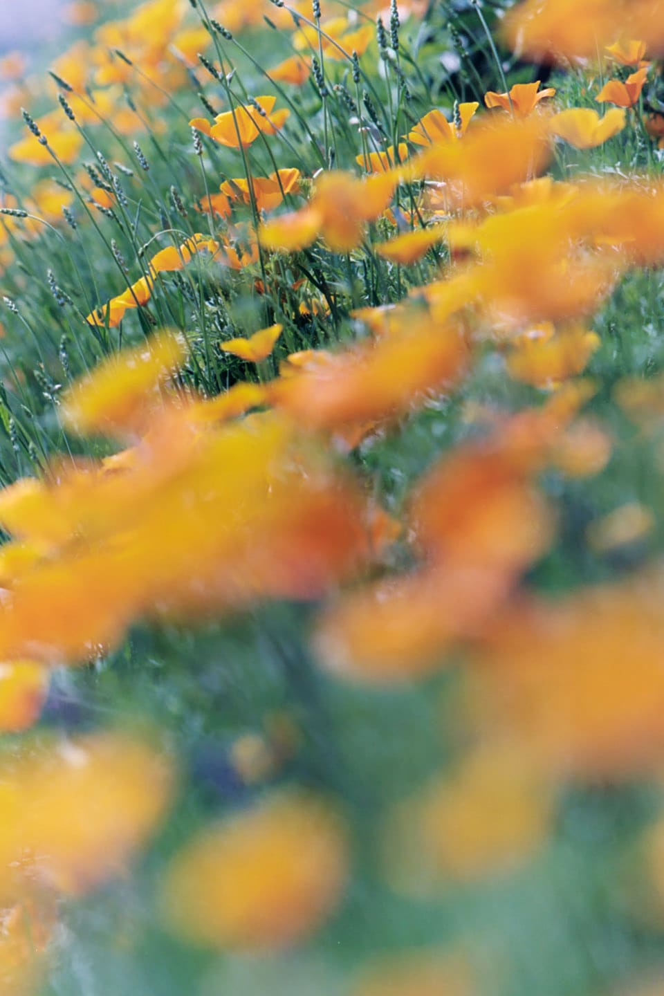 Barber_9434-3_012_qlvgxf