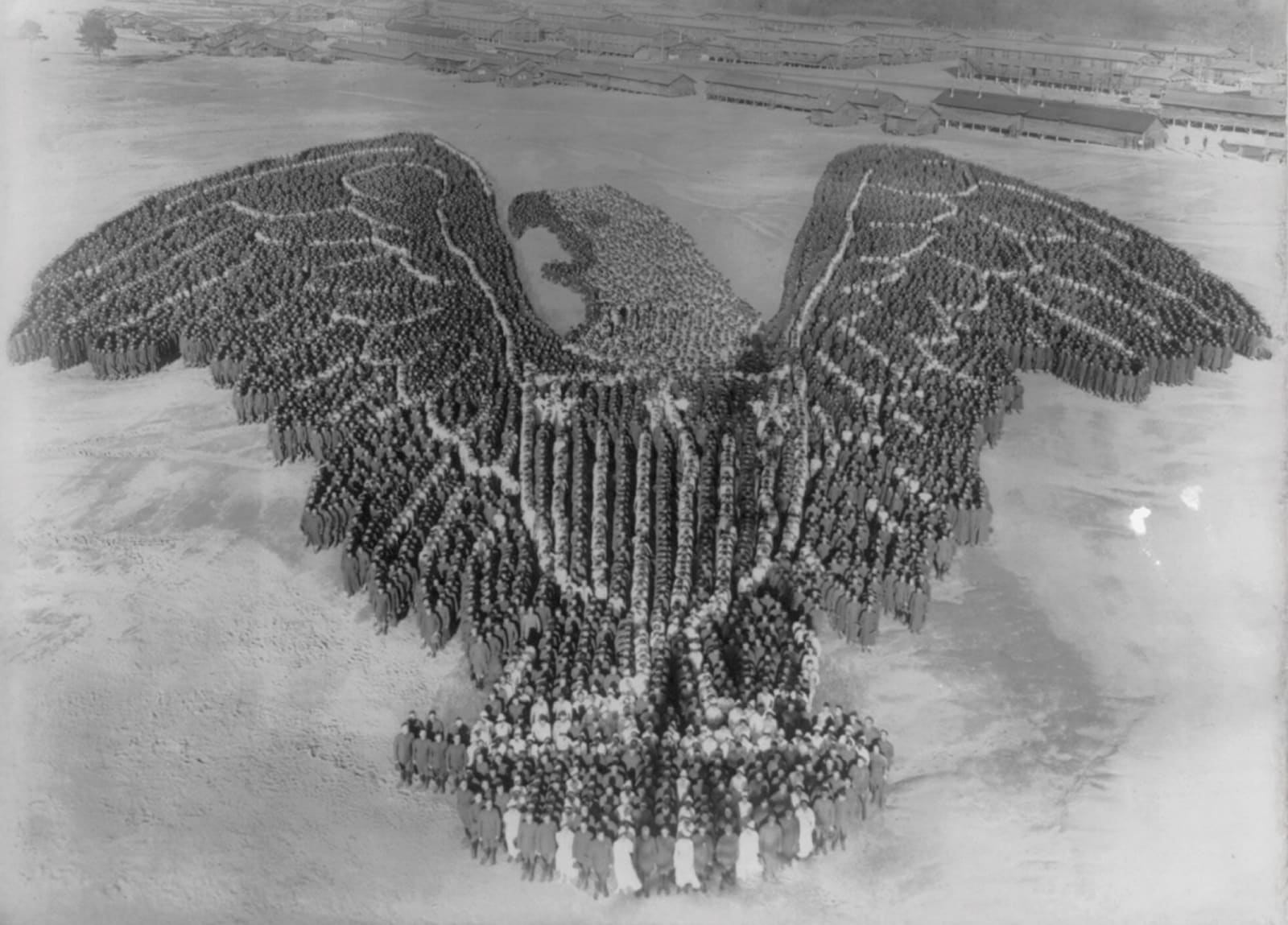 The Human American eagle