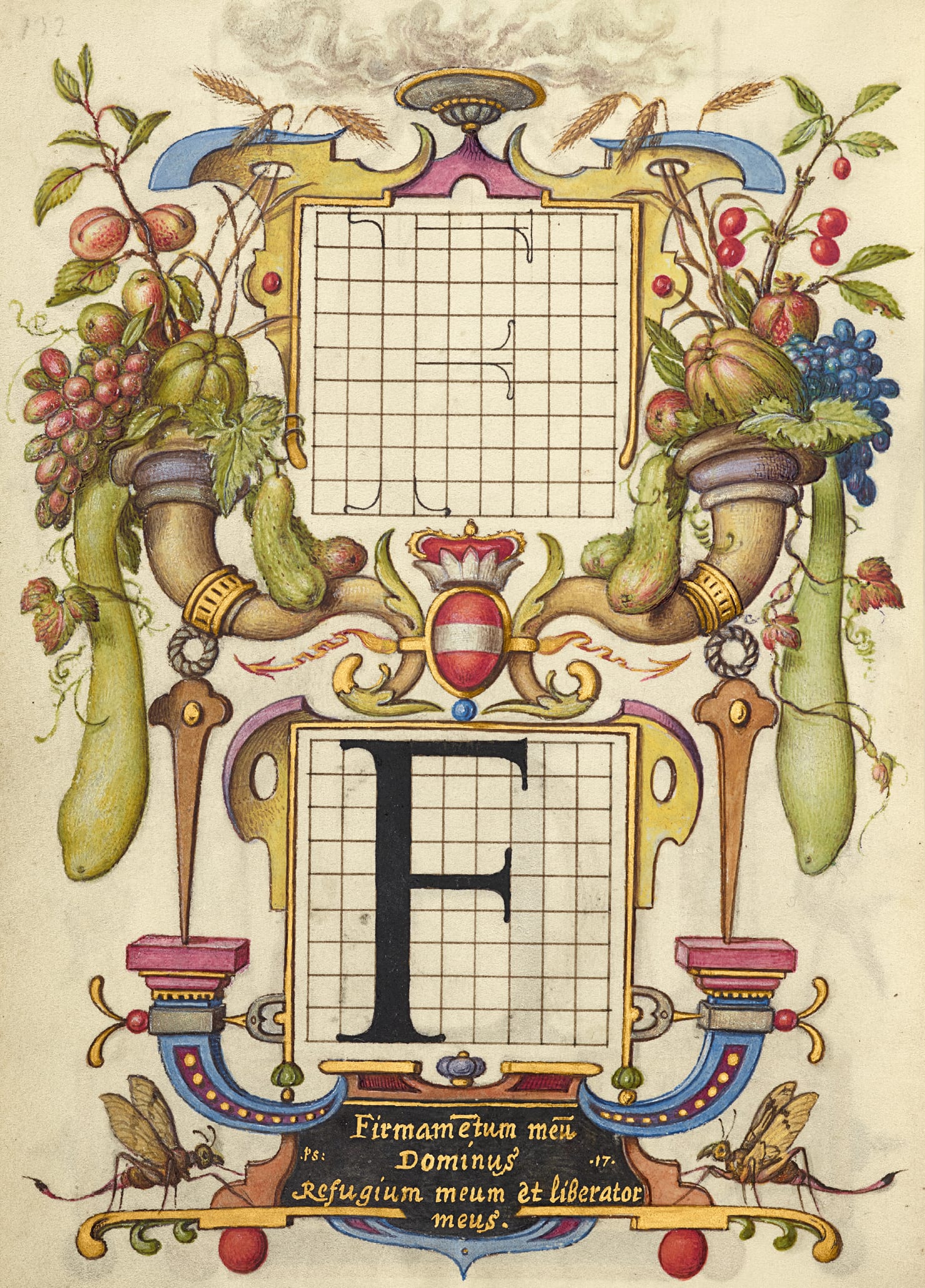 Guide for Constructing the Letter F