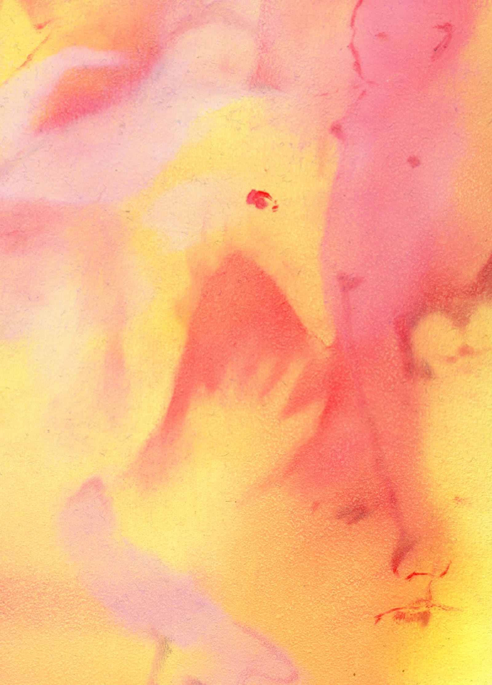 Sherbert