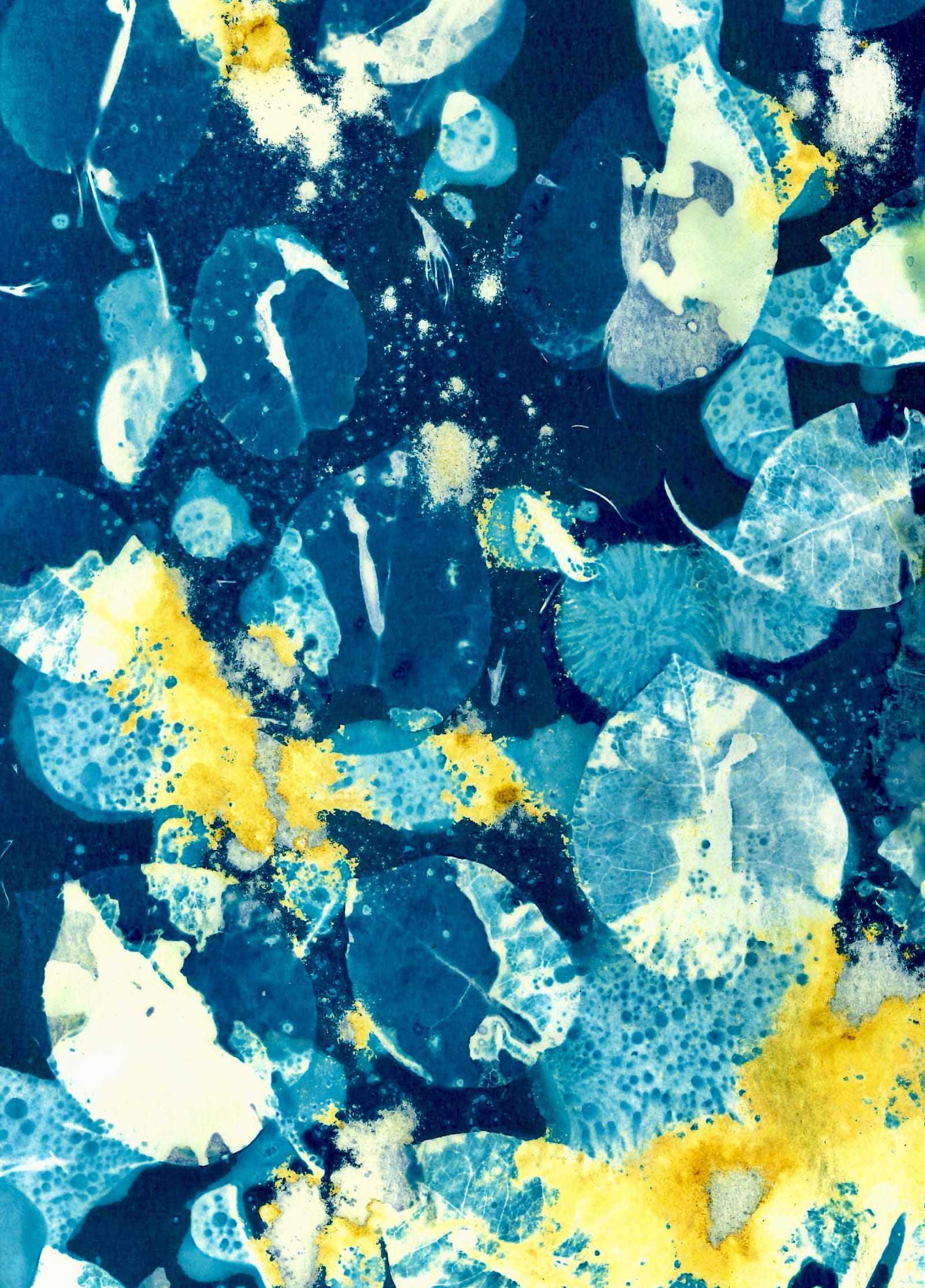Microscopic Dream