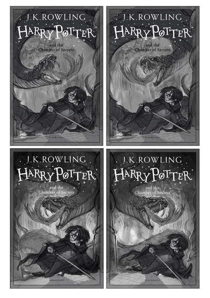 Jonny Duddle Harry Potter And The Chamber Of Secrets Arena Illustration