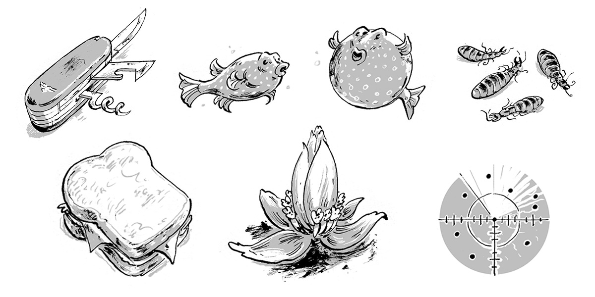 Interior spot illustrations by Euan Cook for the book titled Mission Manta Ray