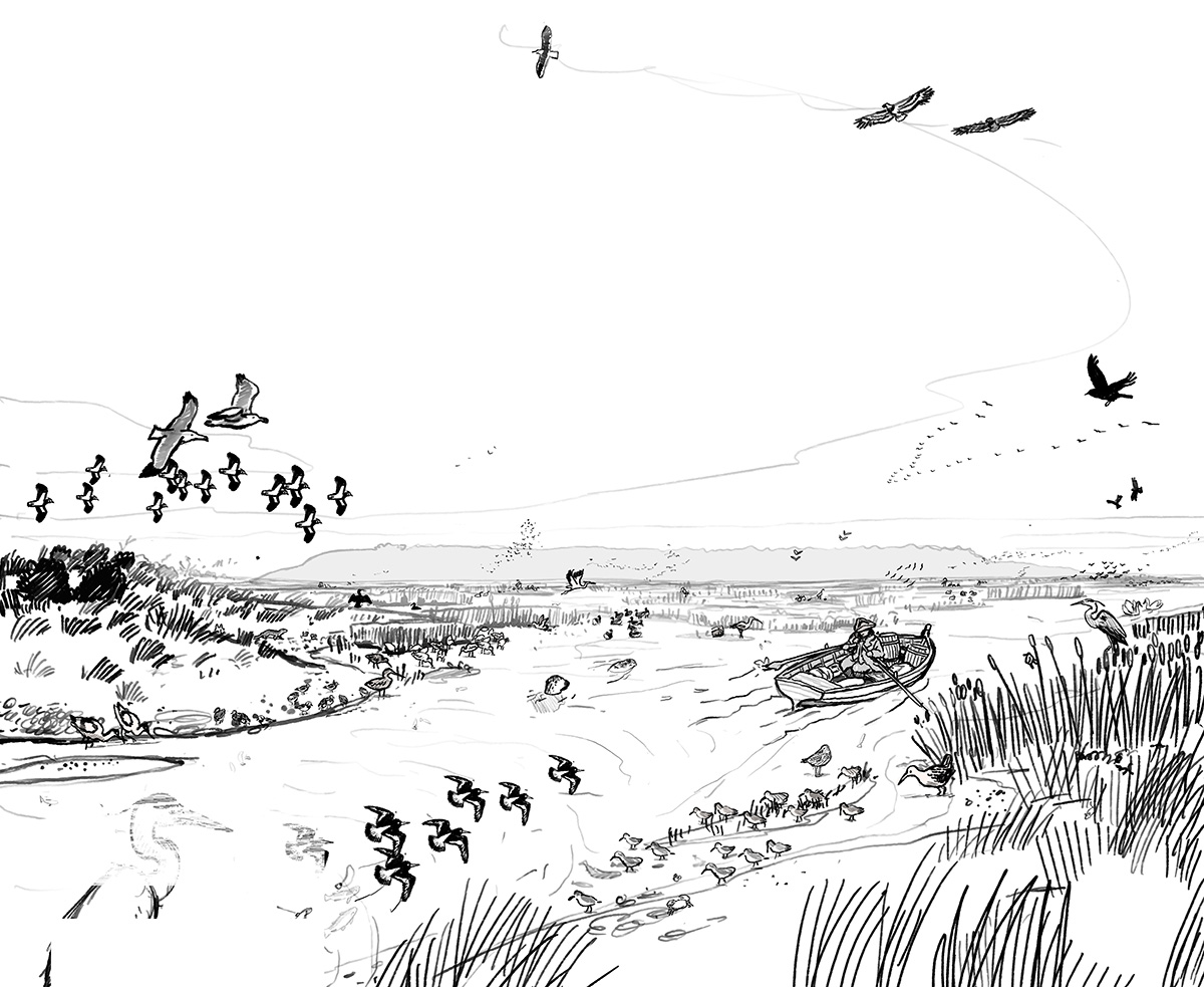 Rough by Joe Lillington of wildlife scene