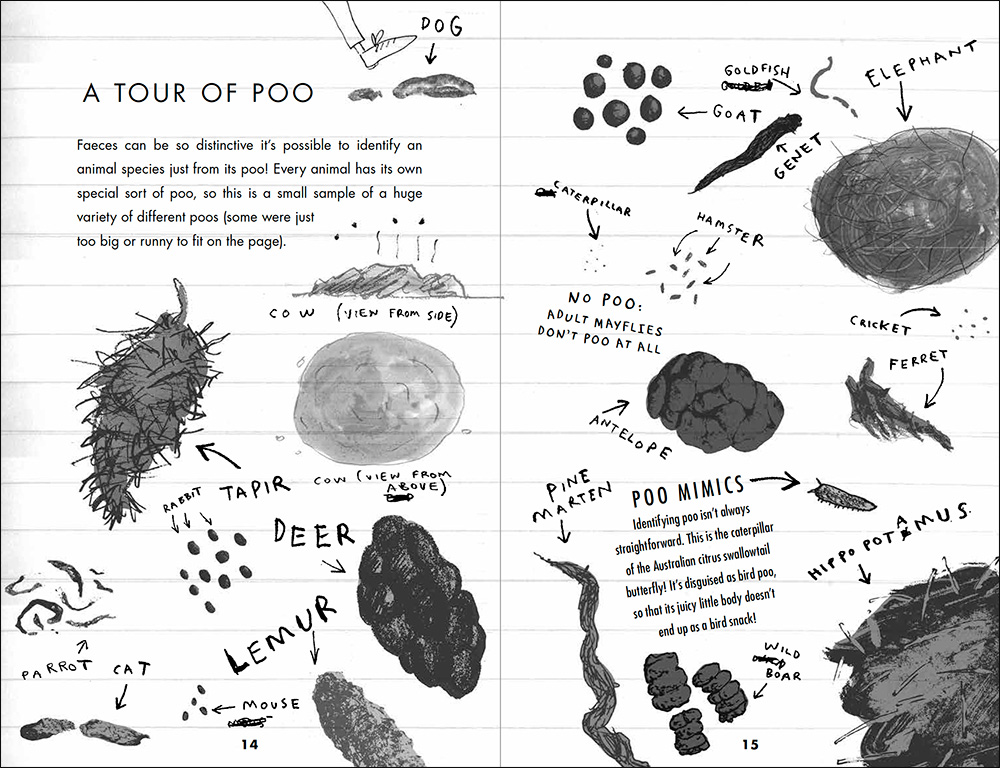 poo and faeces