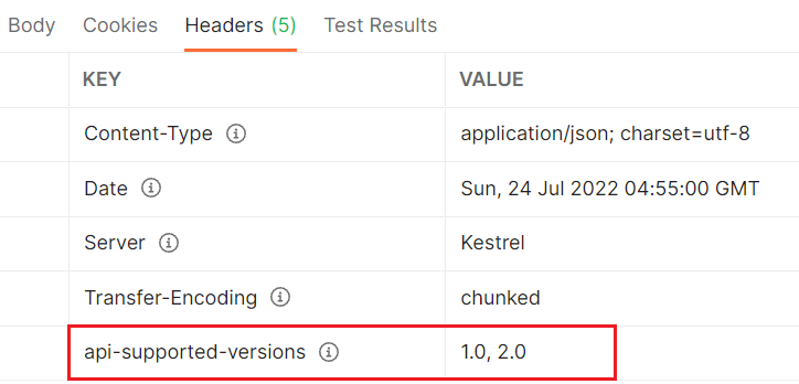 api_versioning_report_versioning.png
