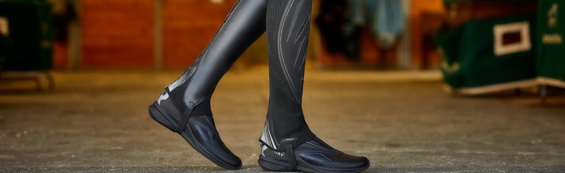 Ariat chaps sizing online