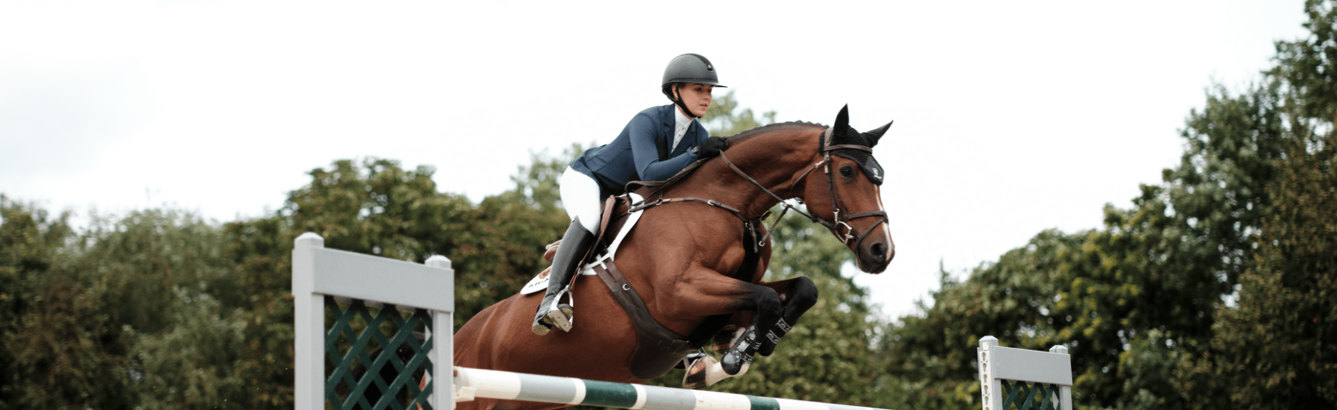 What to Wear Show Jumping