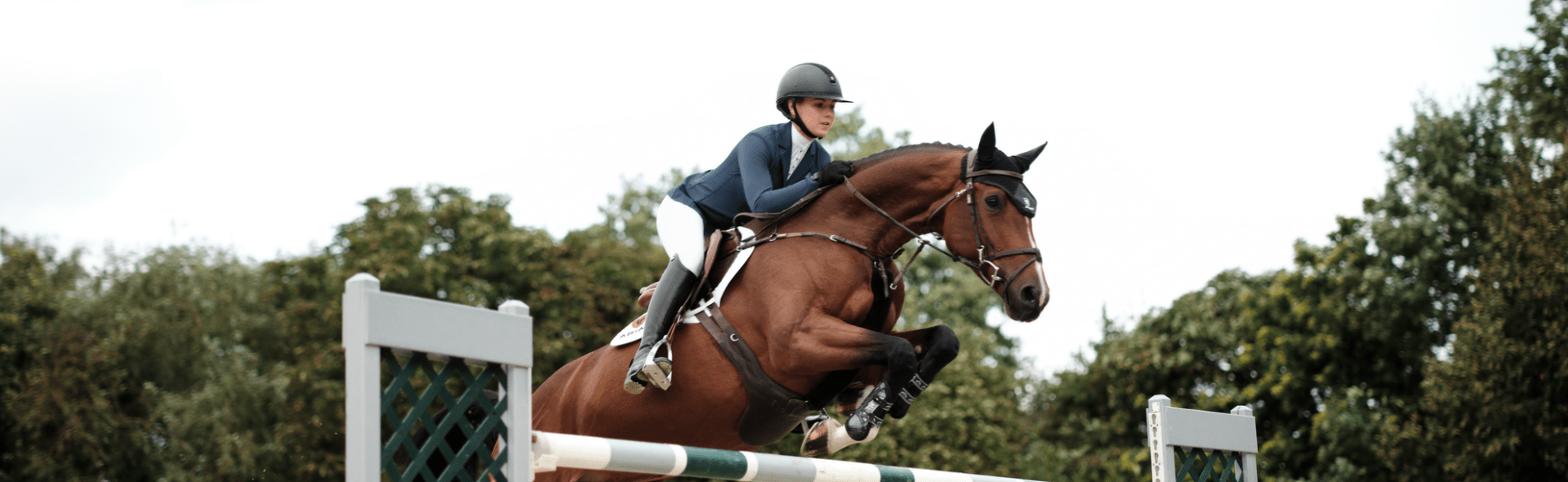 Ariat horse wear shop