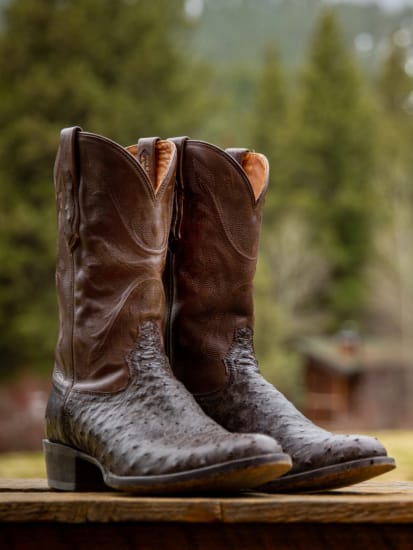 Men's Ariat Boots