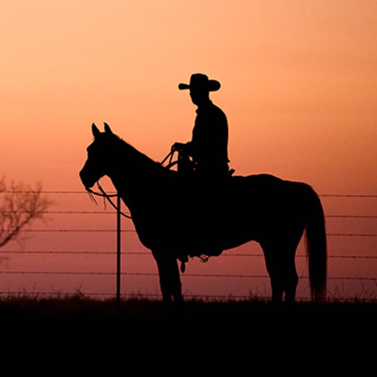 Ariat Insider