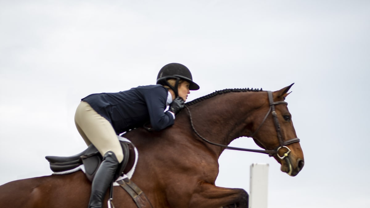 English riding cheap