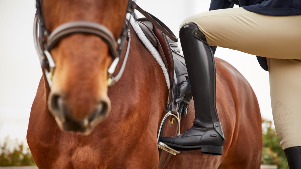 English style riding boots online