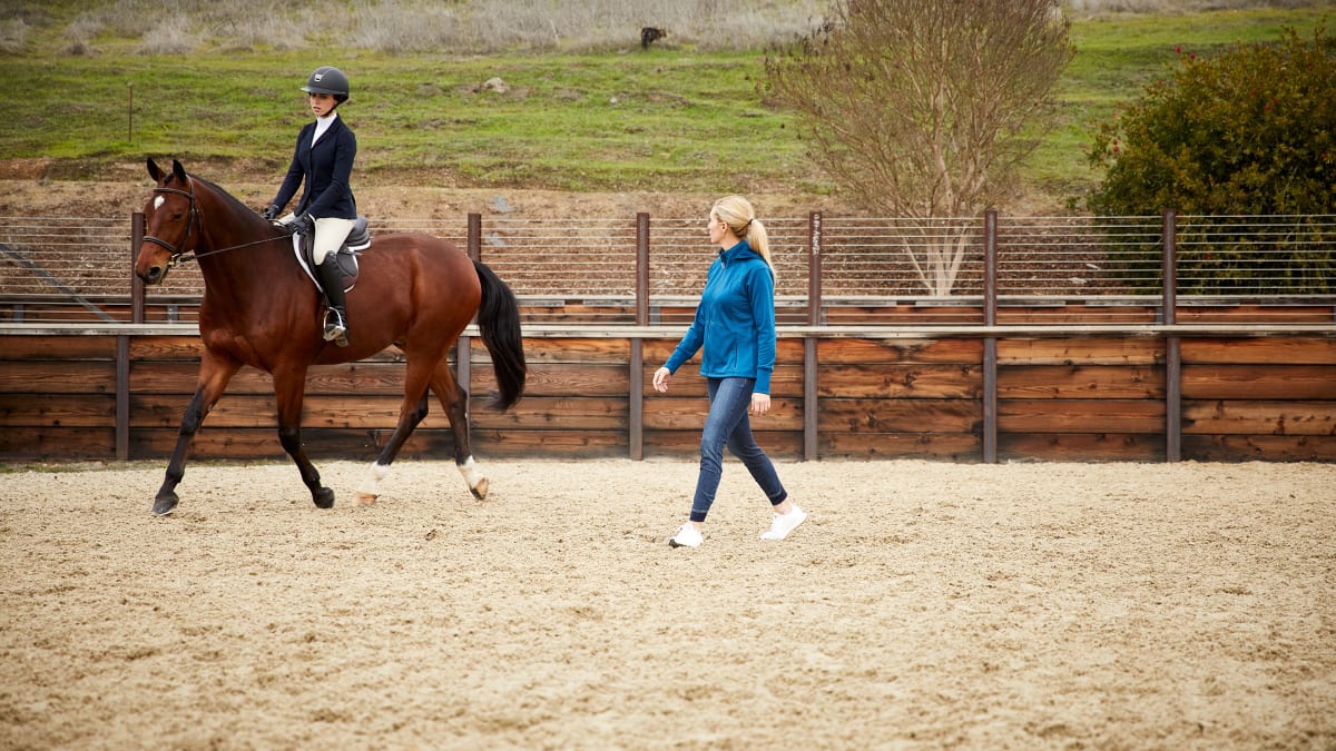 Ariat riding trainers hot sale