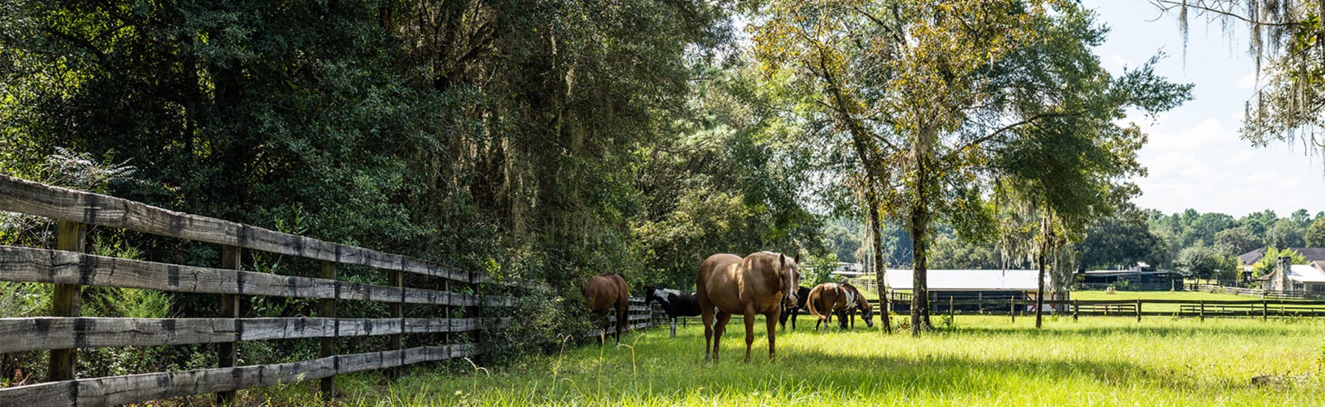 Tack Shack of Ocala – The Horse Capital Tours