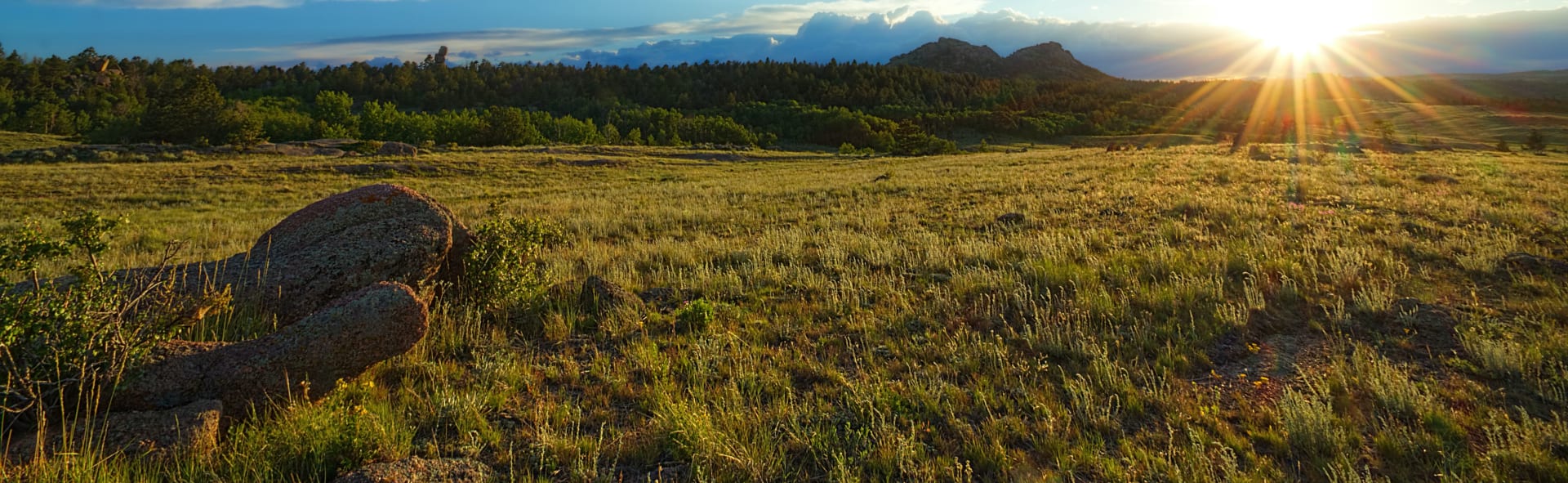 Local Guide: Cheyenne, WY