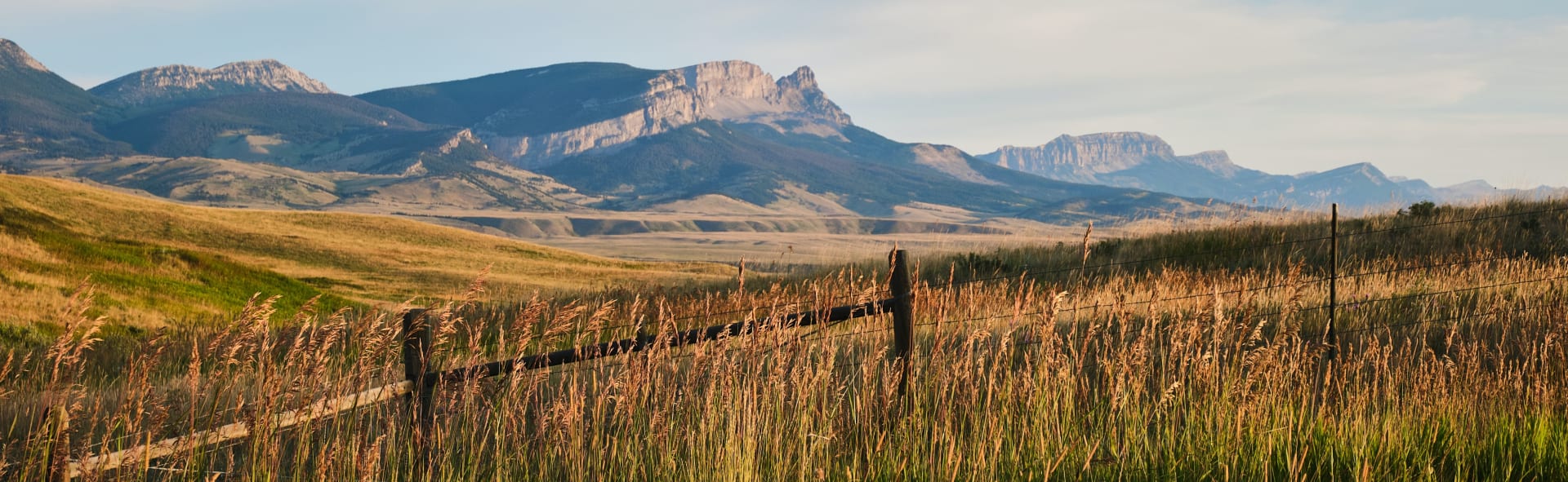 Local Guide: Bozeman, MT