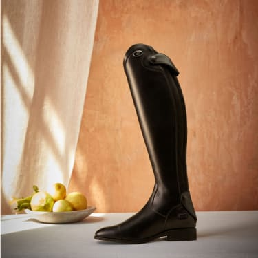 women standing in front of a horse in venture clothing