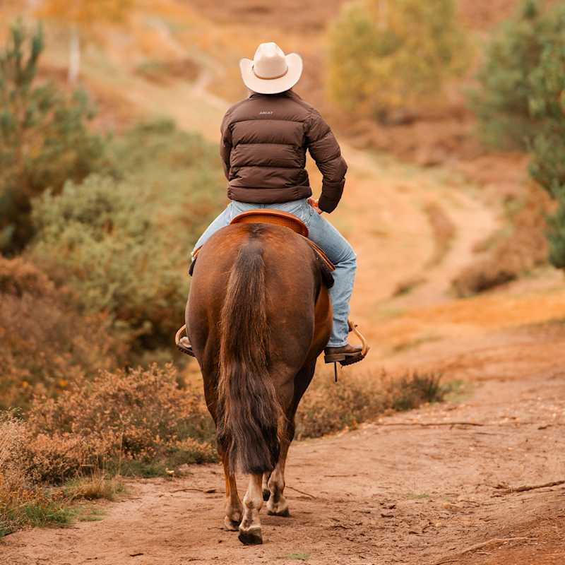 30 Years of Western Heritage