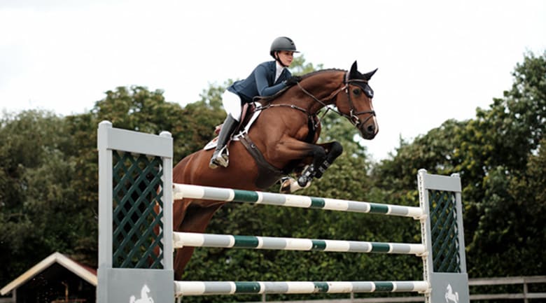 Que porter pour un concours de saut d'obstacles ? 