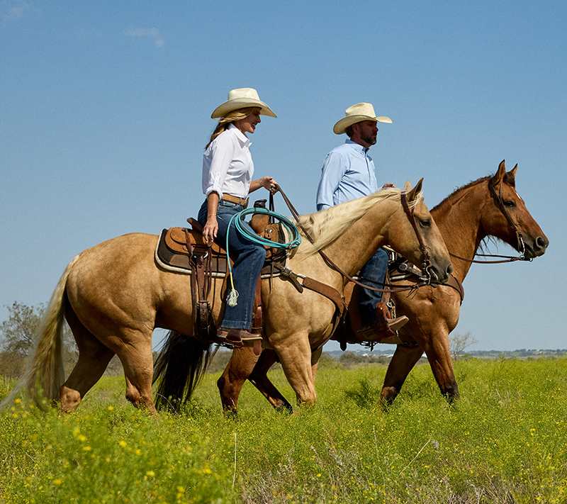 30 Years of Western Heritage