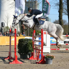 Ariat Athlete Tom Sanders