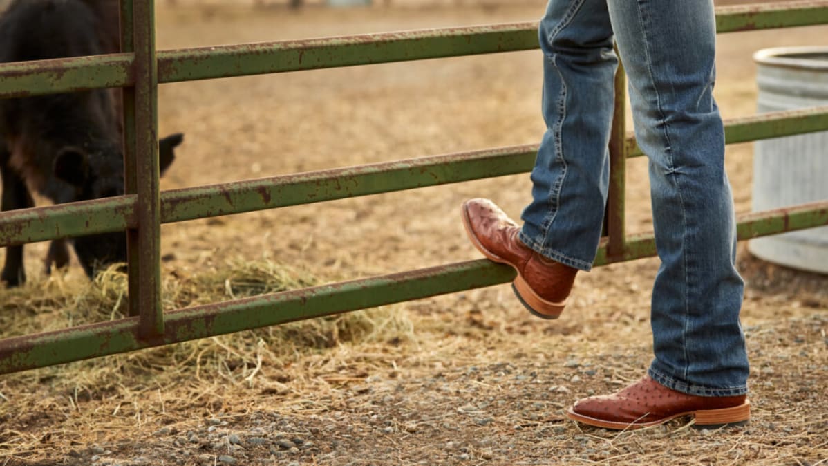 man leaning against cattle fence