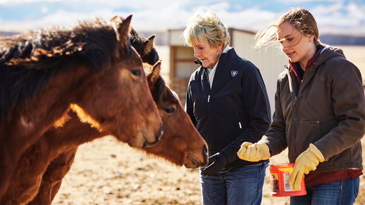 Garrison Family feeding horses