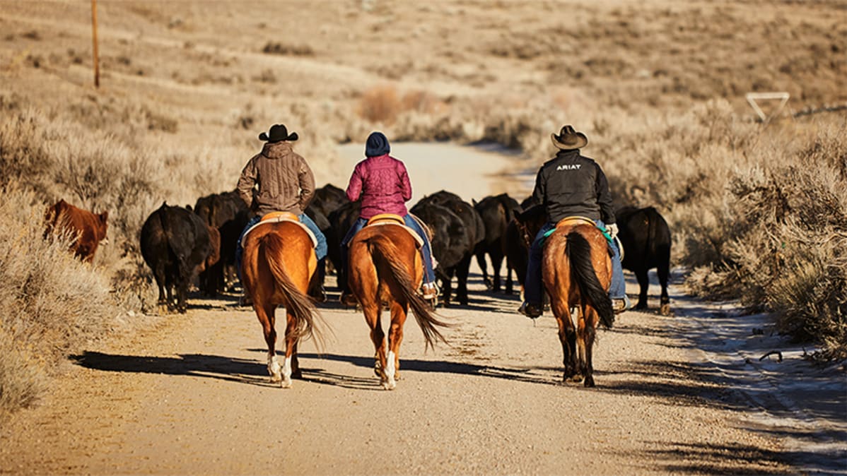 Garrison family riding horses