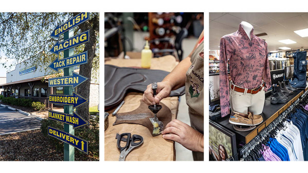 A Local Guide: 13 Things to do in Ocala, FL