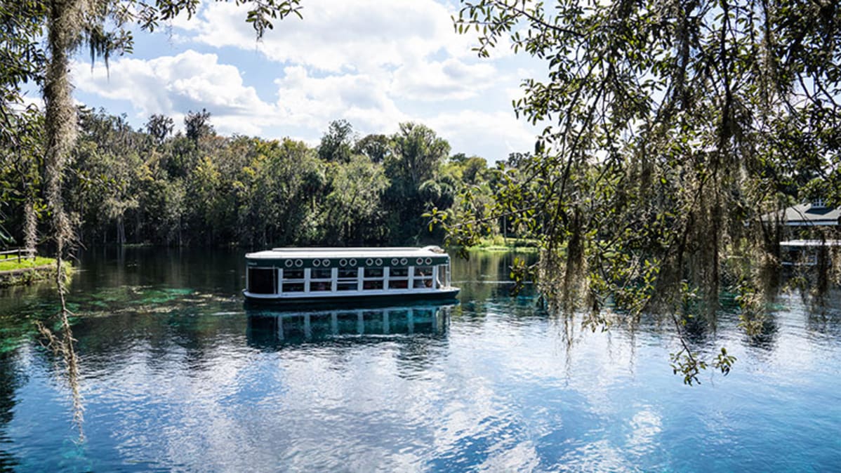 A Local Guide: 13 Things to do in Ocala, FL