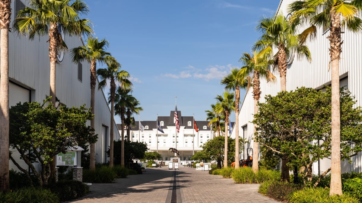 A Local Guide: 13 Things to do in Ocala, FL