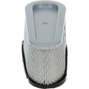 LUFTFILTER, Briggs & Stratton 496894S