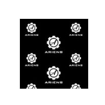ARIENS BUFF