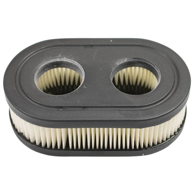 Air Filter Briggs & Stratton 798452