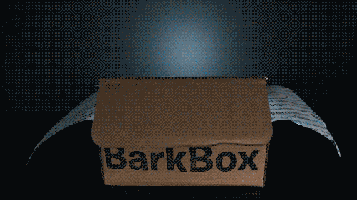 最佳包裝所需的一切 15 BarkBox自定義框