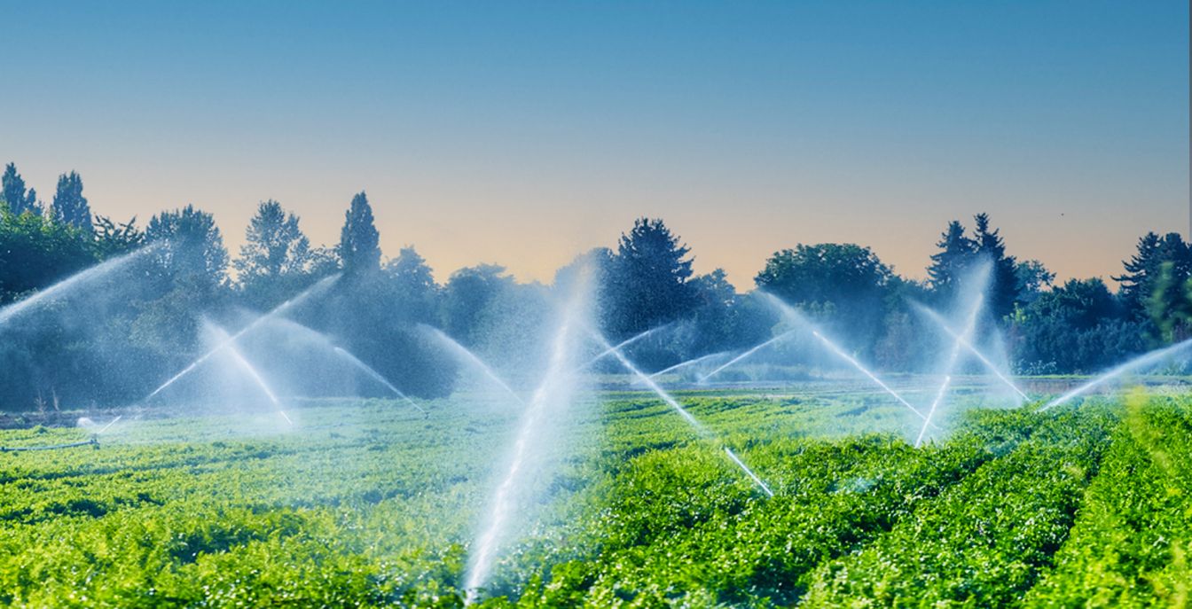 Exploring the Irrigation System in Pakistan ARKAA