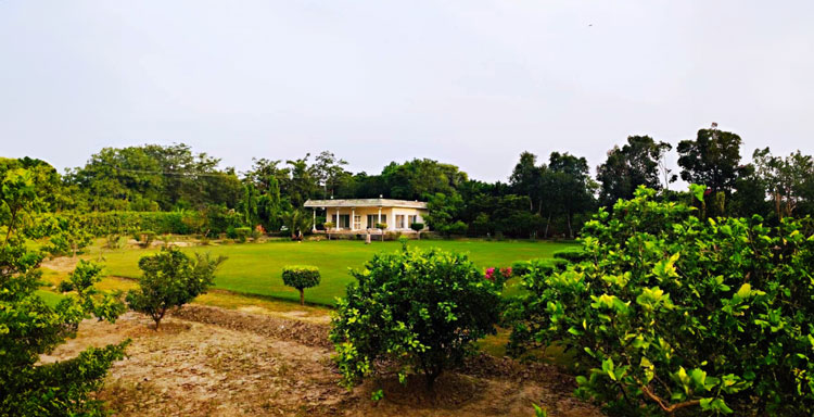 Talia-Farmhouse