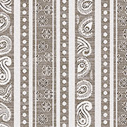 Paisley Streif