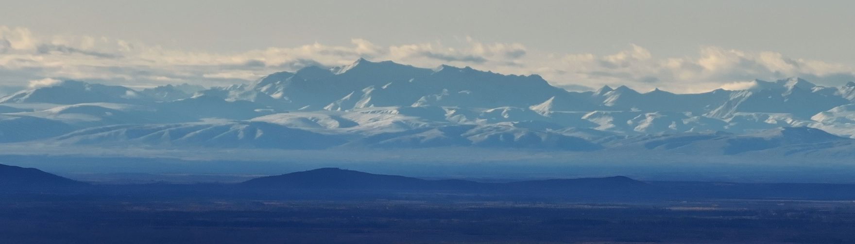 Scroll Animated Widget Background