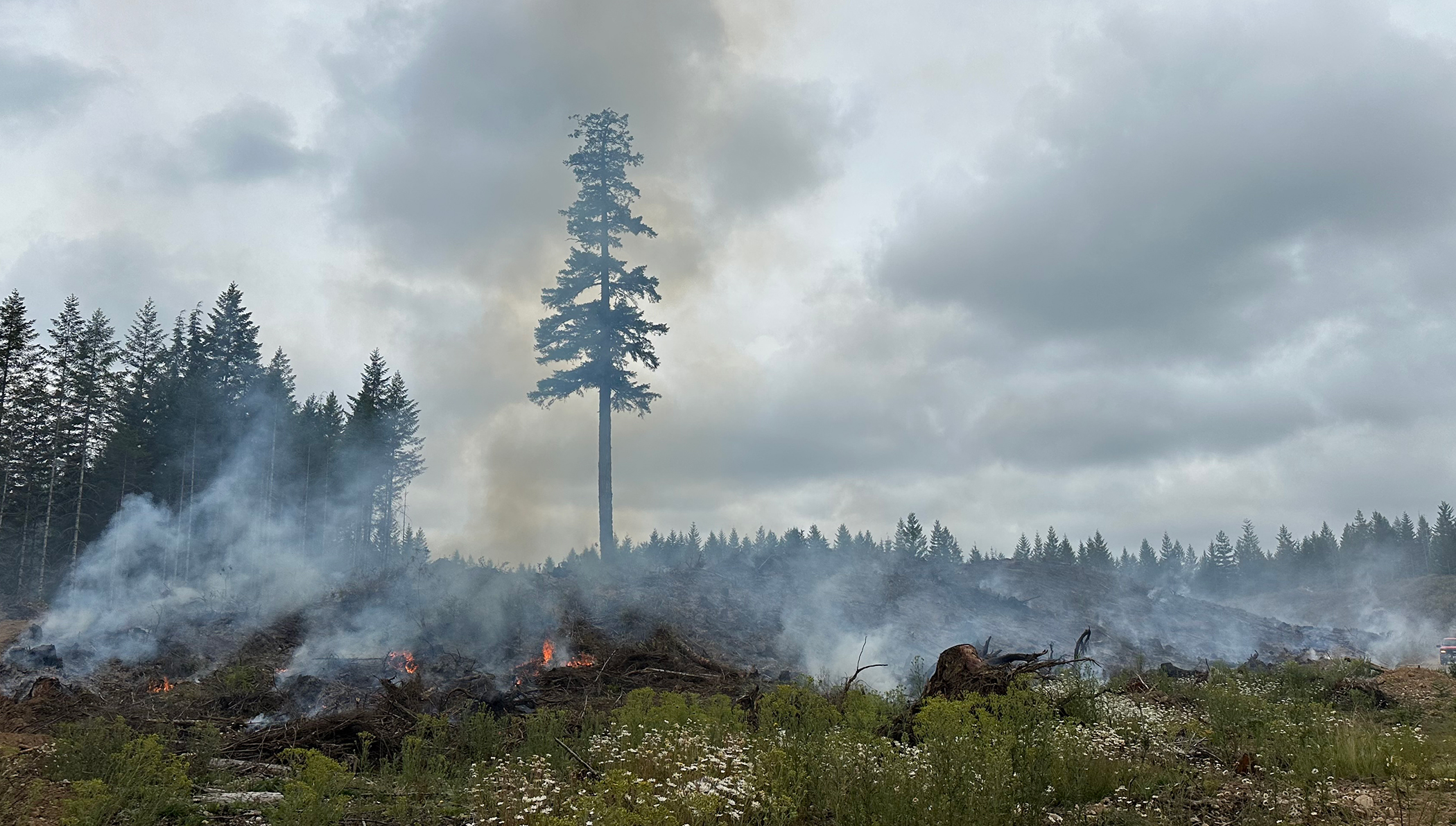 Toonerville Fire 13_Crop.jpeg