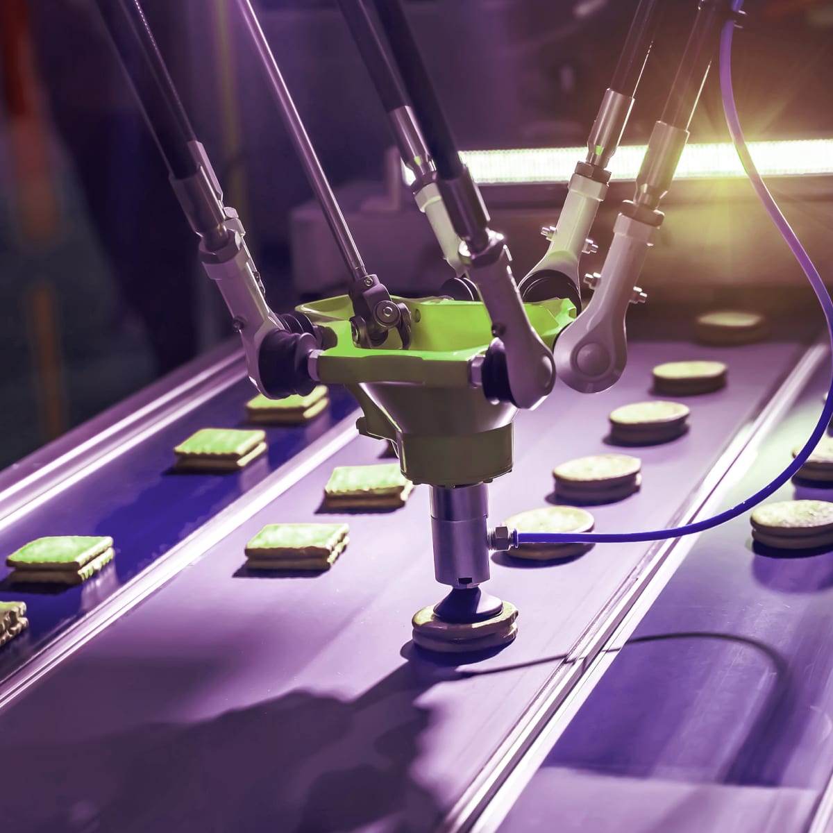 production of biscuits in a manufacturing factory