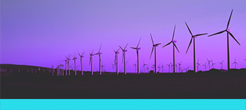 line of wind turbines in a field