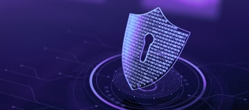digital data protection shield