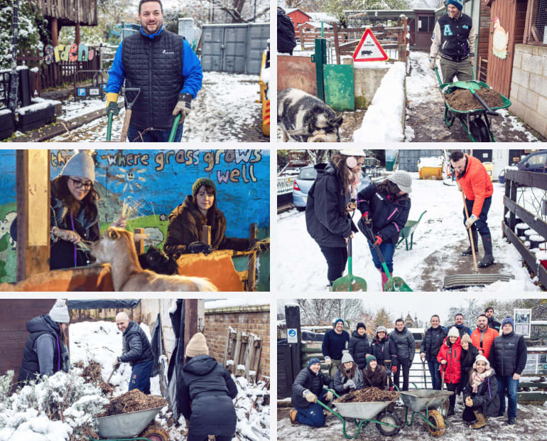 Armis team members volunteer at Spitalfields City Farm in London