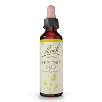 Chestnut Bud/Kastanjeknopp - Bachs blomstermedisin 20ml Dil