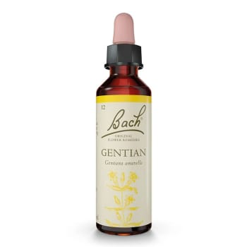 Gentian/Ensian - Bachs blomstermedisin 20ml Dil