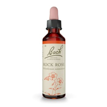 Rock Rose/Solrose - Bachs blomstermedisin 20ml Dil